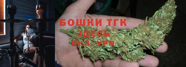 стаф Аркадак