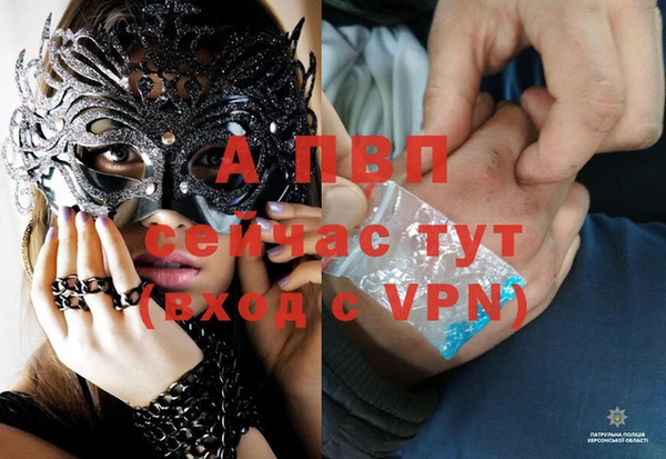 стаф Аркадак