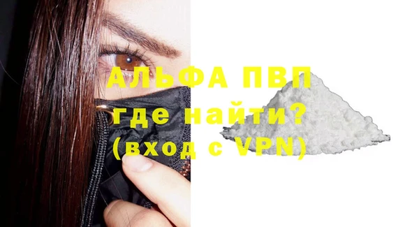 стаф Аркадак