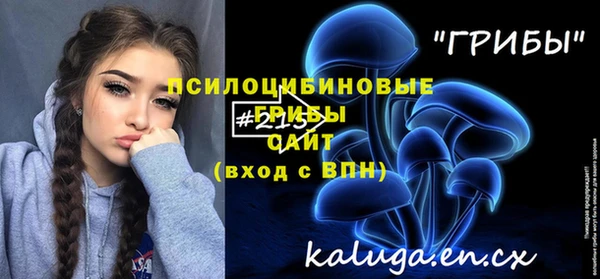 экстази Арсеньев