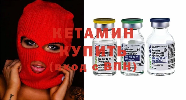 стаф Аркадак